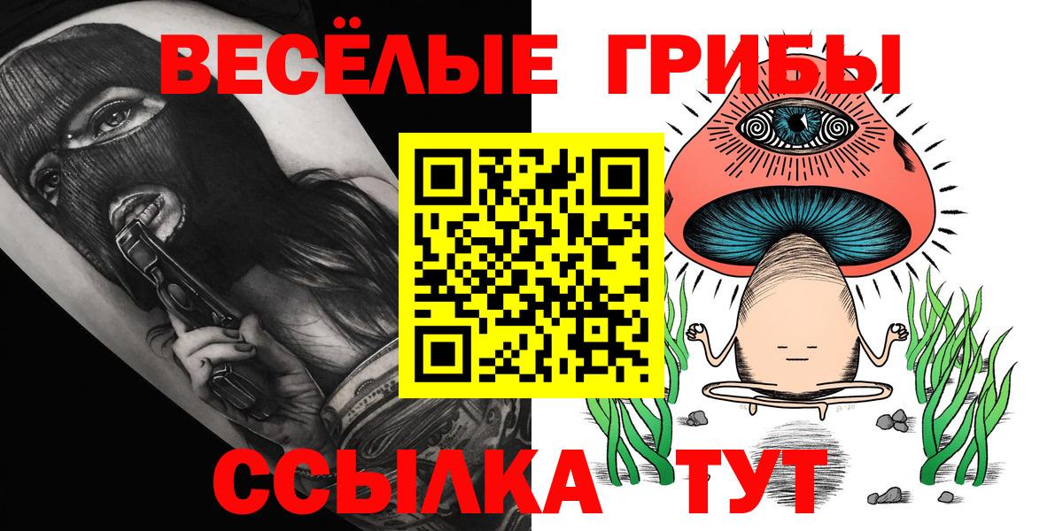 Галлюциногенные грибы Psilocybe  Вход с VPN  Ипатово 